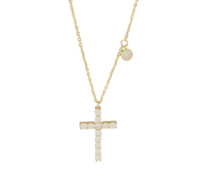 CS100